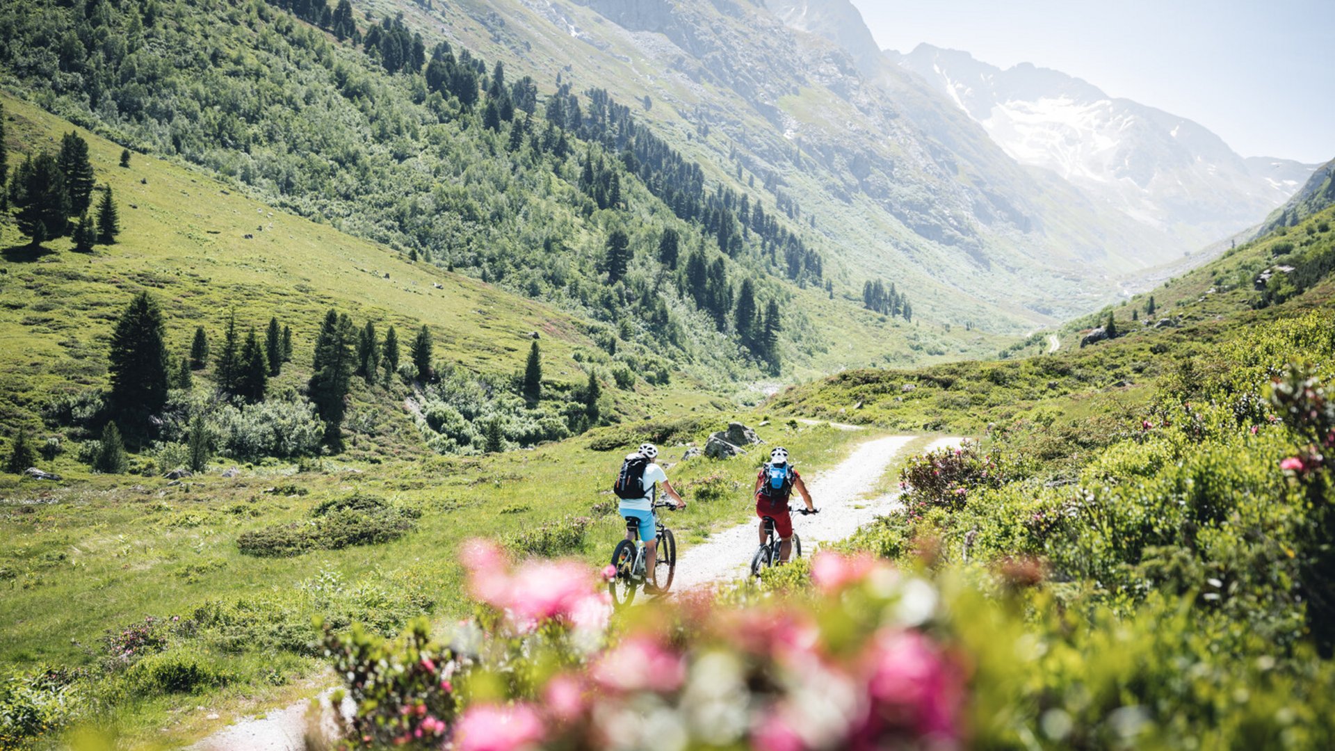 Zwei Radfahrer auf einem Bergweg in einer grünen Alpenlandschaft