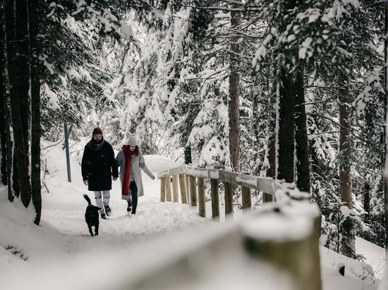 Paar geht mit Hund auf schneebedecktem Waldweg im Winter spazieren
