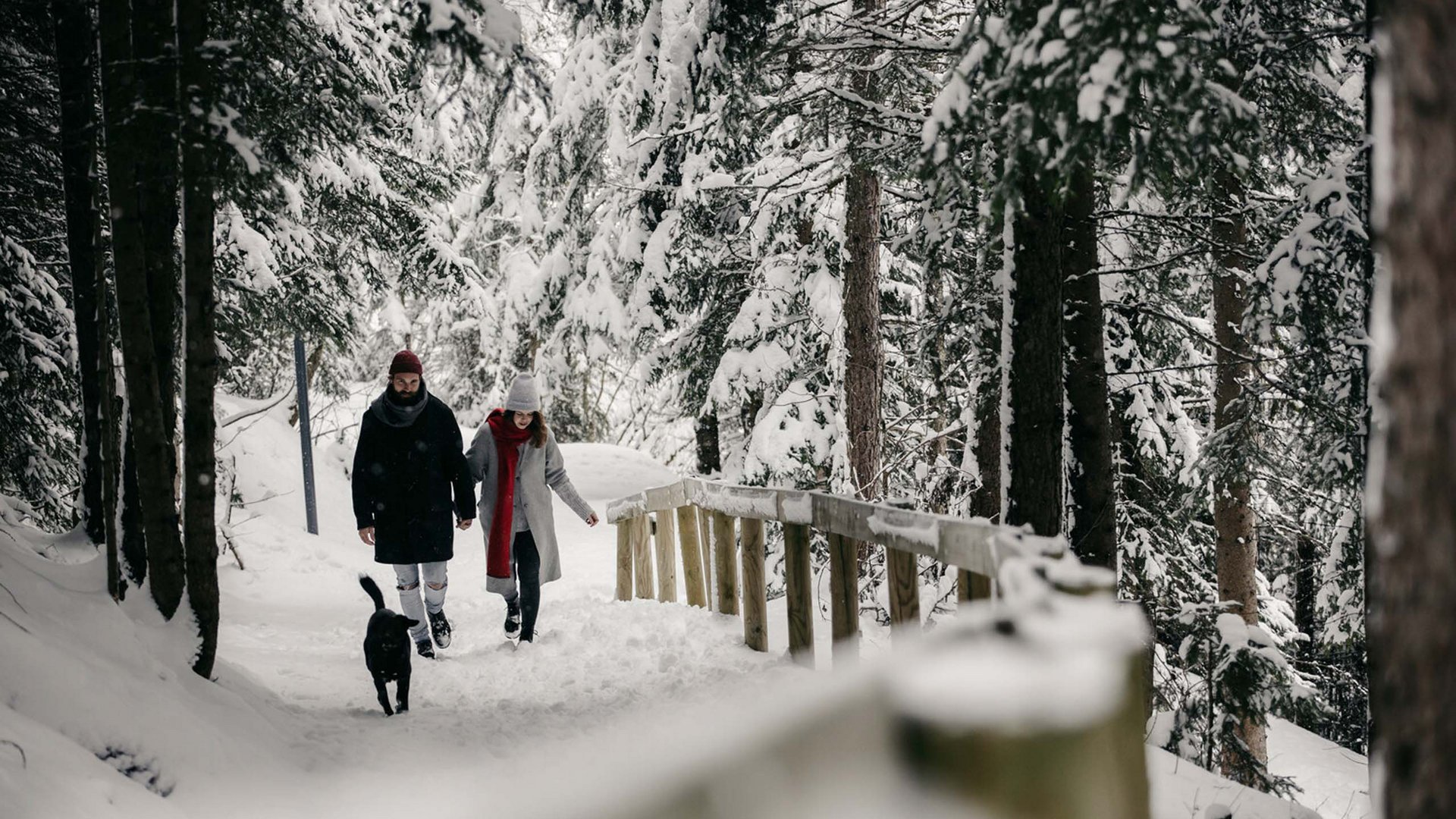 Paar geht mit Hund auf schneebedecktem Waldweg im Winter spazieren