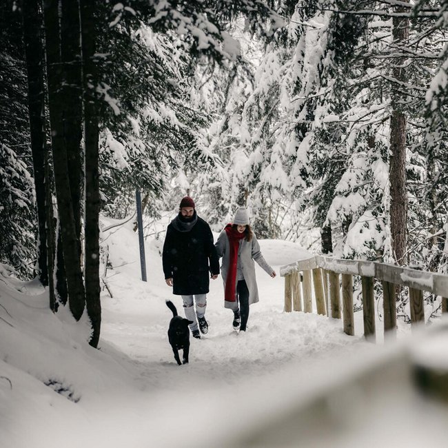 Couple walking with dog on snowy forest path in winter