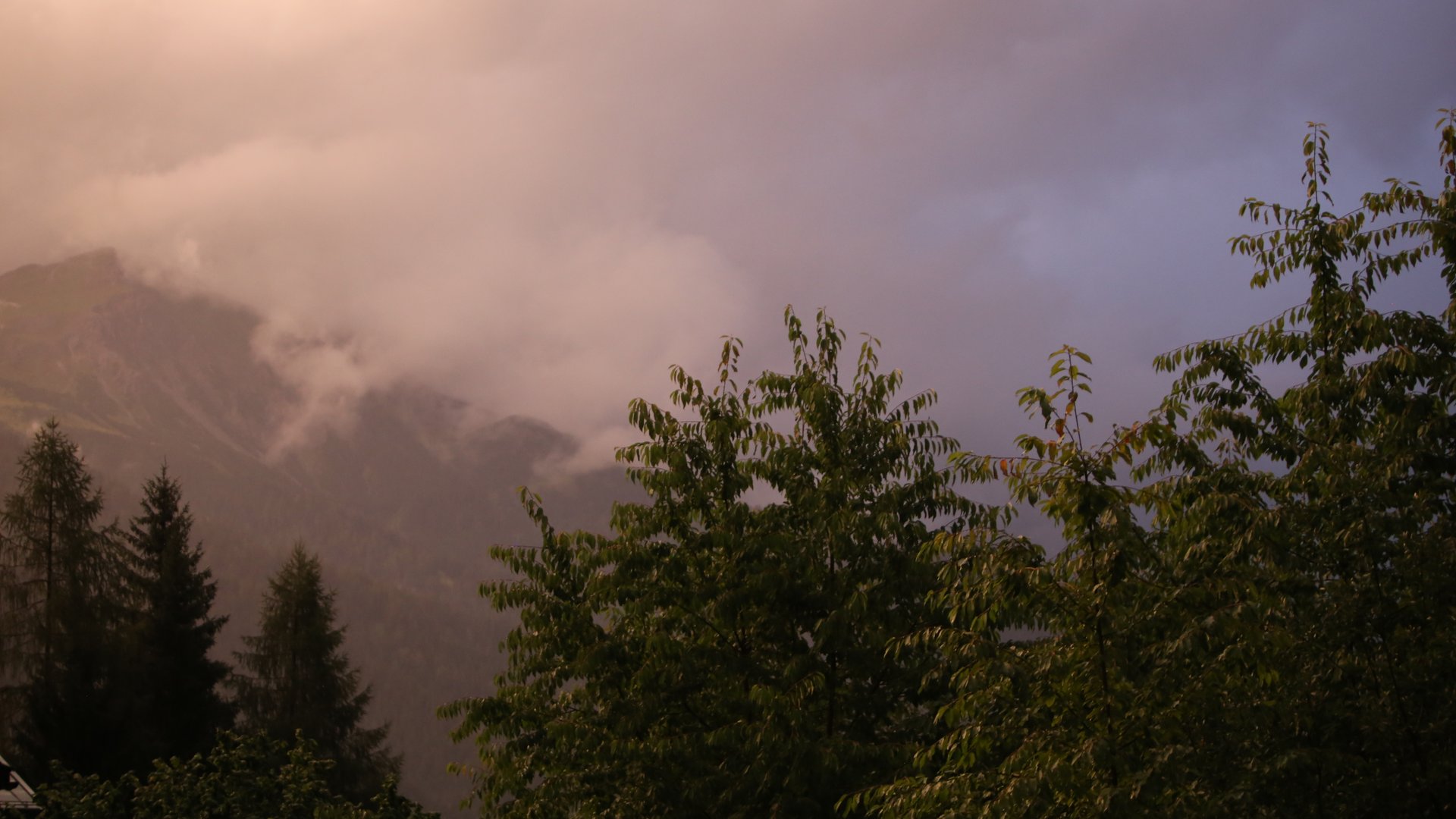 Wald und Berge mit Nebel unter einem bewölkten Himmel bei Sonnenuntergang