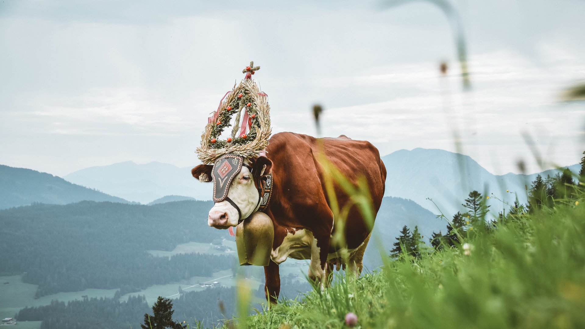 Das feierliche Ende des Bergsommers