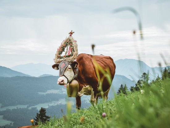 St. Anton: Sommerurlaub, Winterspaß