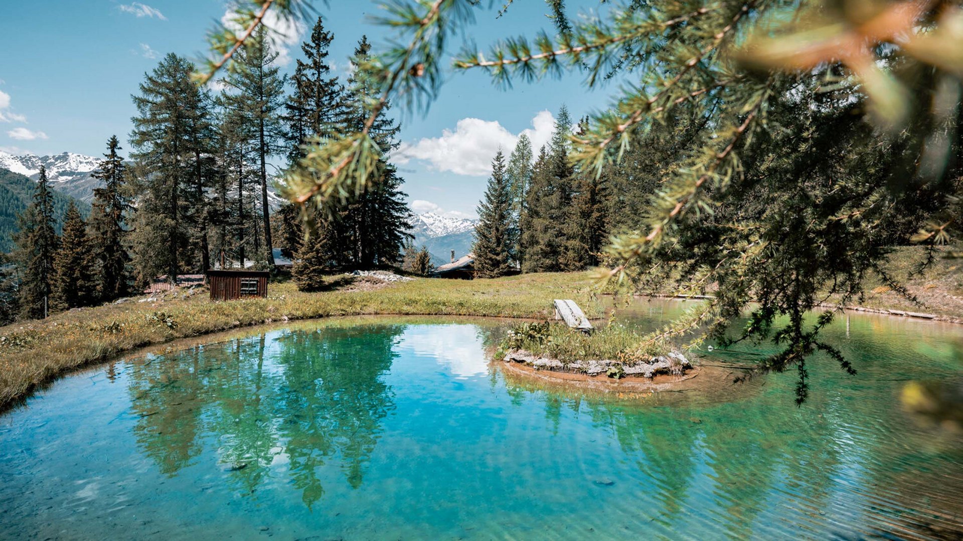 Small mountain pond reflecting trees and snowy mountains in the background
