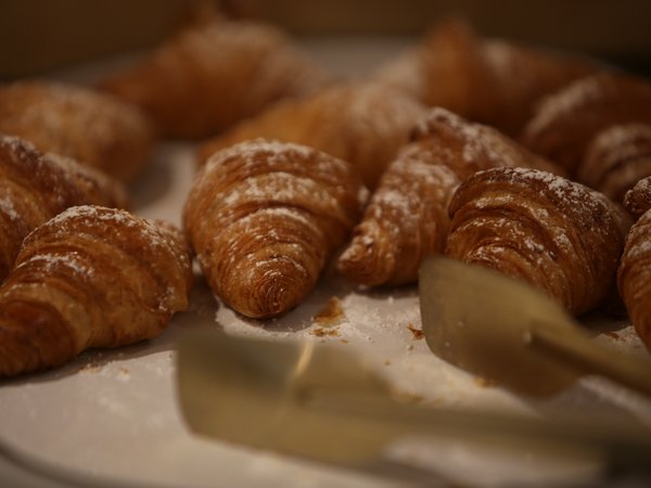 Freshly baked croissants with powdered sugar on a plate