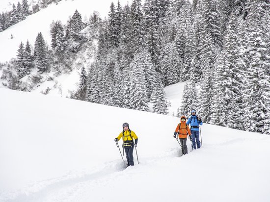 St. Anton: Sommerurlaub, Winterspaß Drei Wintersportler wandern im tiefen Schnee vor verschneiten Tannenbäumen
