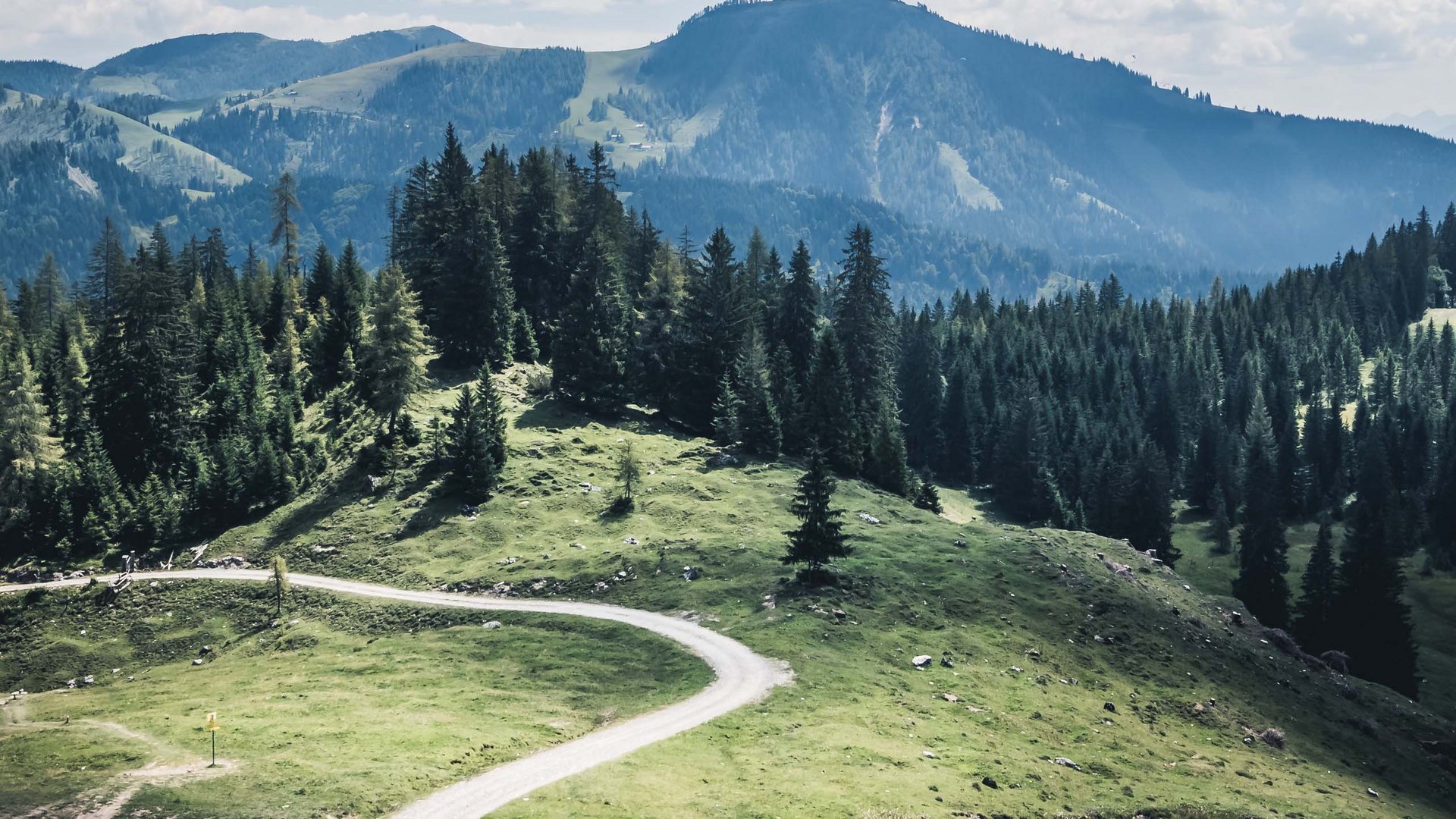 Winding path through green mountain landscape with fir trees and mountains in background