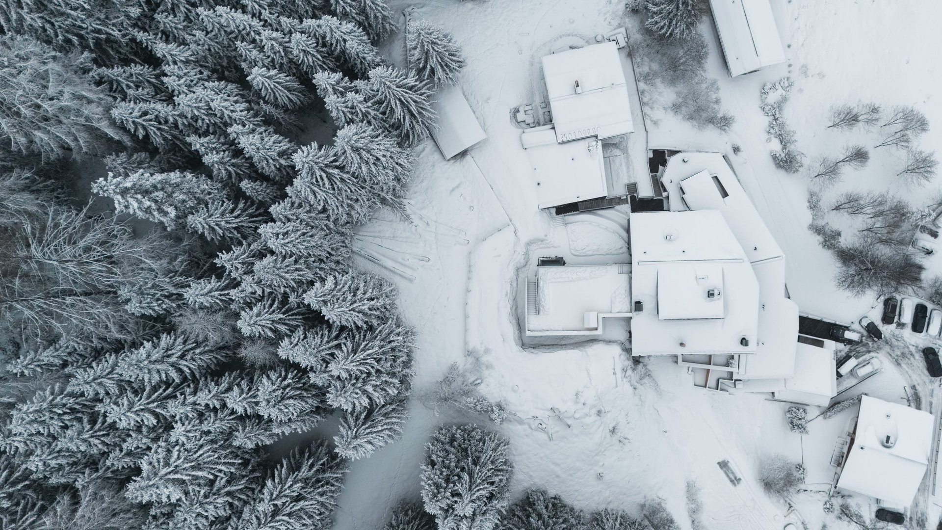 Aerial view of snow-covered houses and trees in winter