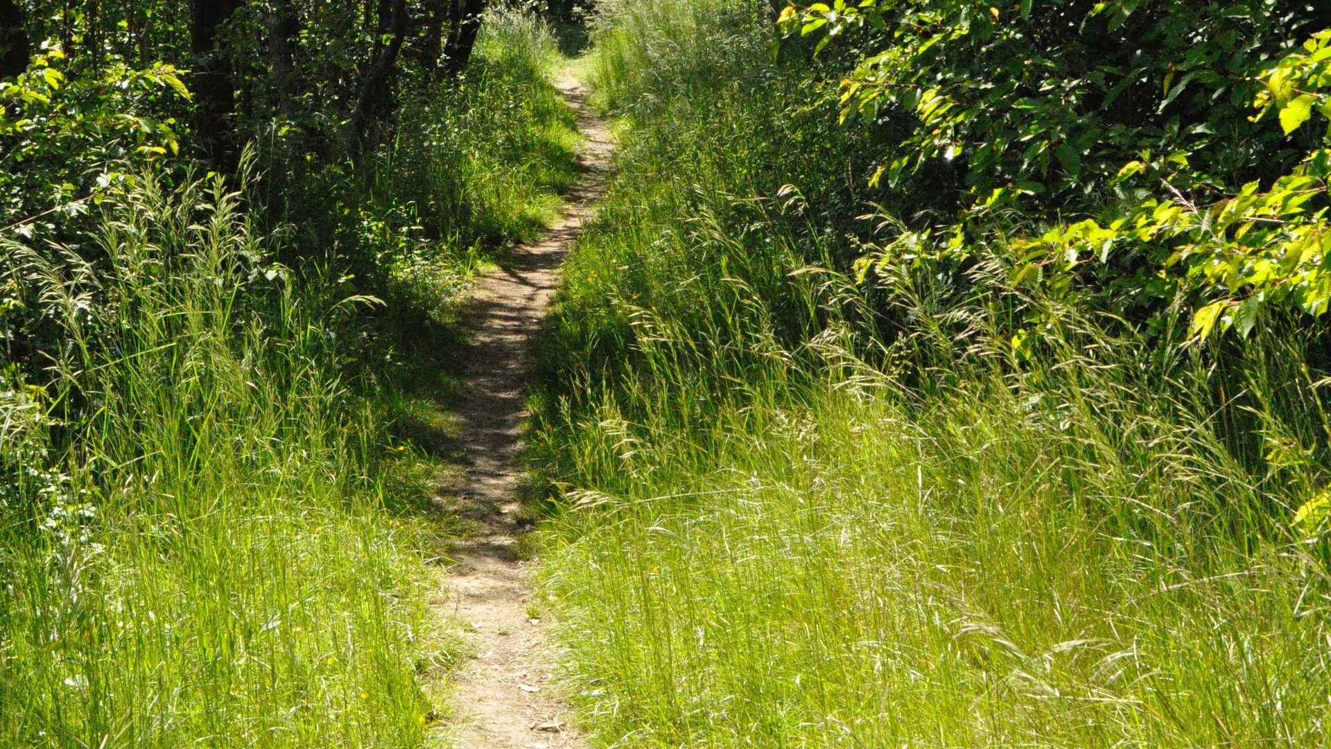 Themed trails nearby our hotel