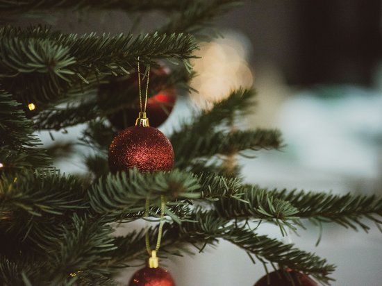 Ein Blick ins neue Jahr Roter Glitzer-Weihnachtsbaumschmuck an grünen Tannenzweigen