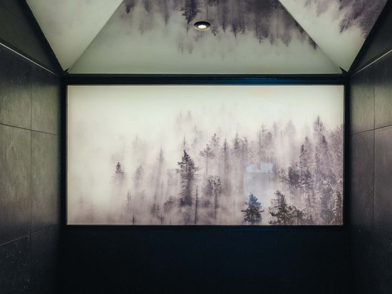 St. Anton: Sommerurlaub, Winterspaß Dunkler Raum mit beleuchtetem Bild von nebligem Wald an der Wand