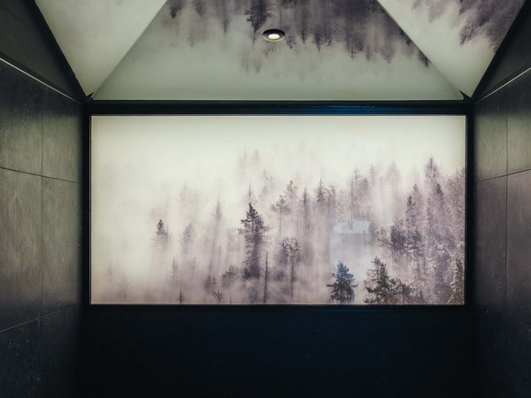 Dunkler Raum mit beleuchtetem Bild von nebligem Wald an der Wand