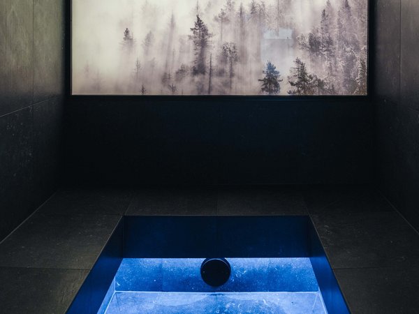 Dark room with illuminated picture of misty forest on the wall