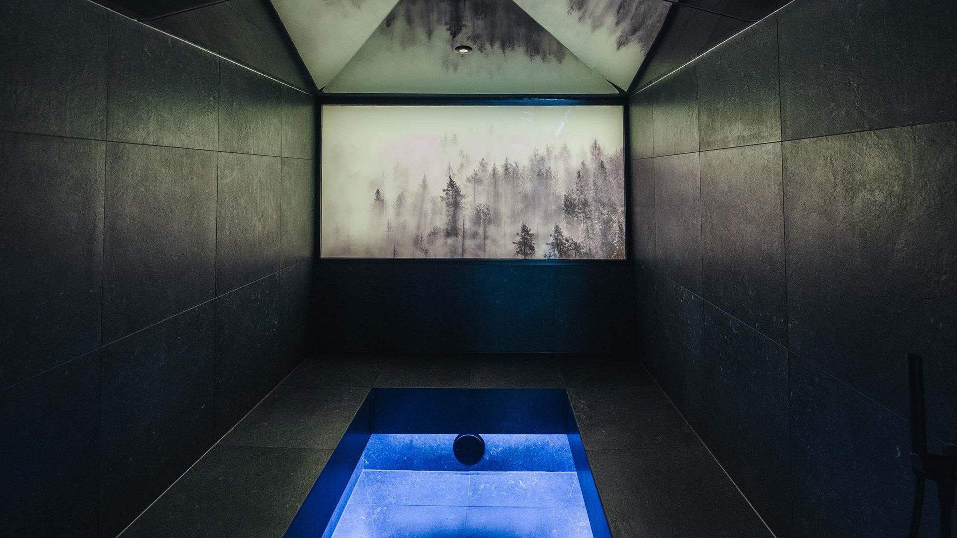 Modern dark steam room with blue illuminated floor and forest motif on the wall